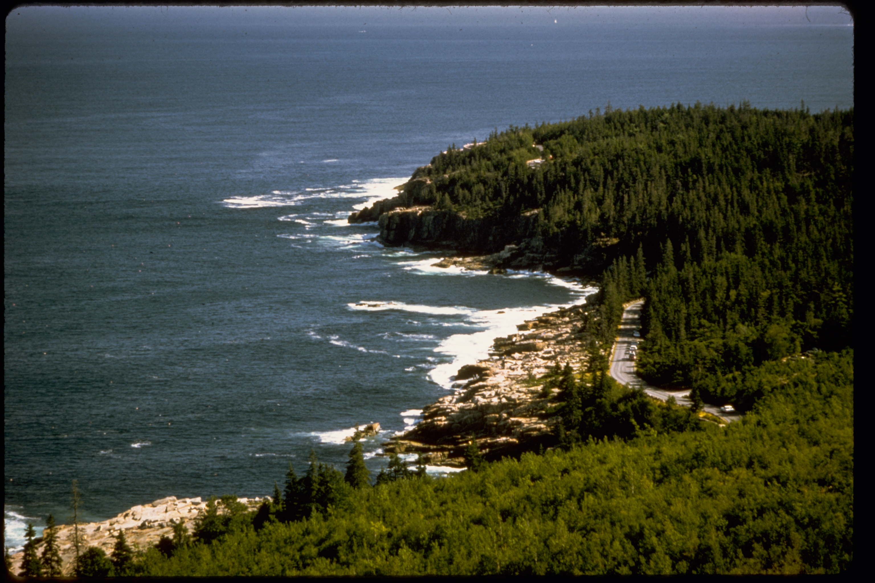 Costa y bosque en Acadia National Park, Maine