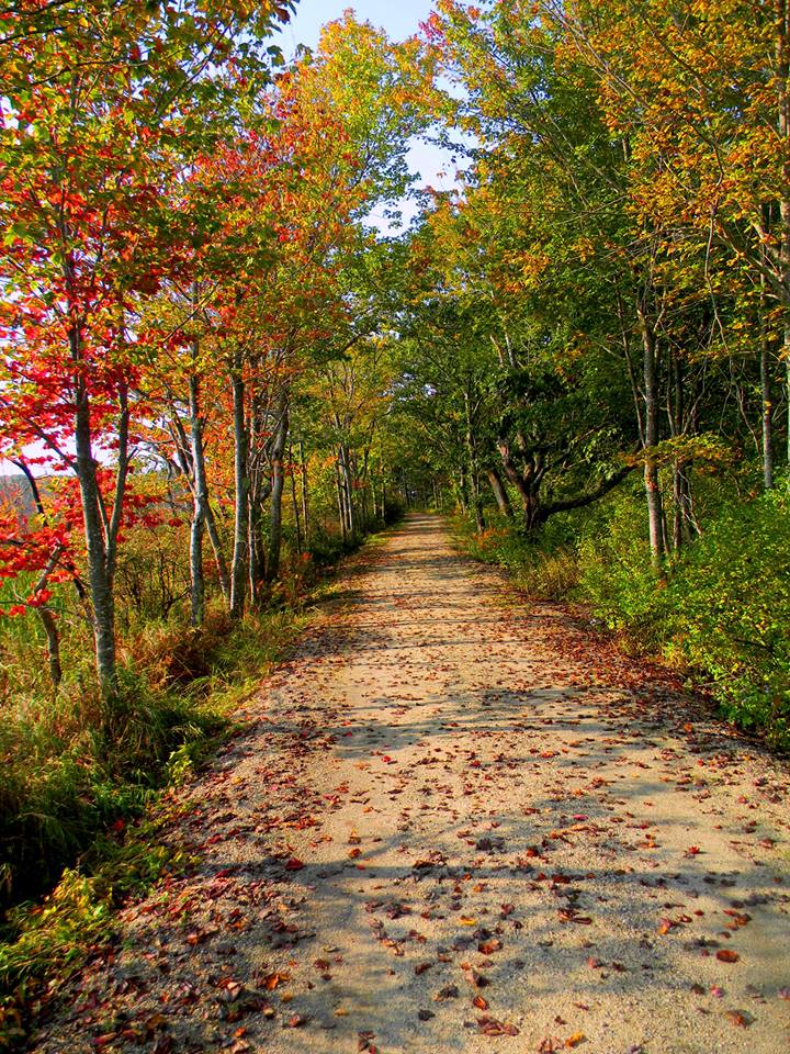 Sendero de otoño en Rachel Carson National Wildlife Refuge, Maine